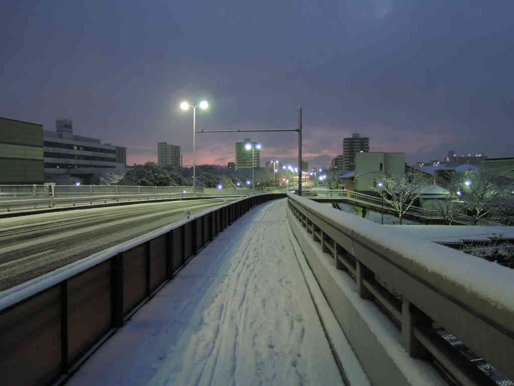 Image: 2015年1月2日 名古屋市内