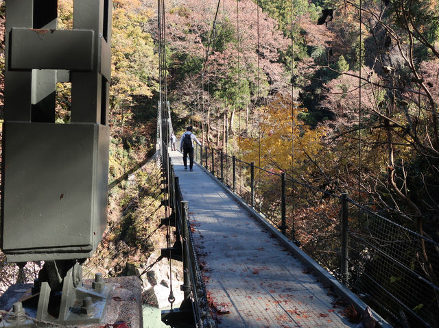Image: 天竜峡 遊歩道 つつじ橋