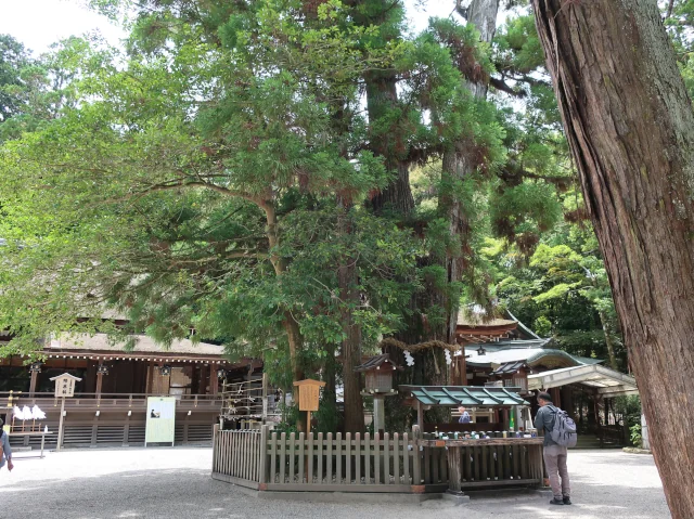 Image: 大神神社