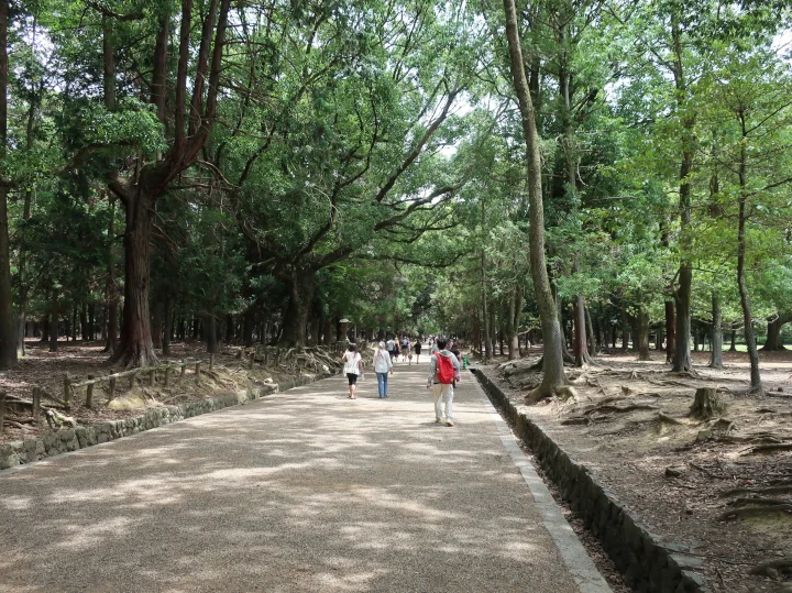 Image: 春日大社