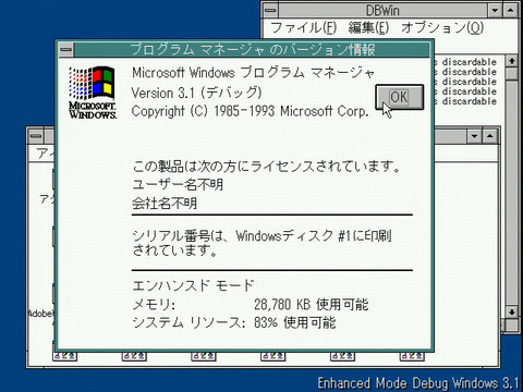 Image: Enhanced Mode Debug Windows 3.1