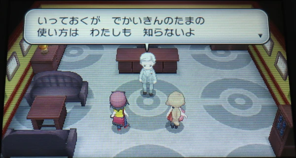 Image: 241019 RPG『ポケットモンスター Y』(3DS) [3]対フェアリータイプがいない