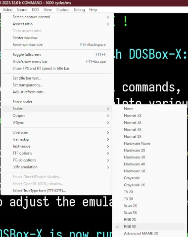 Image: DOSBox-X