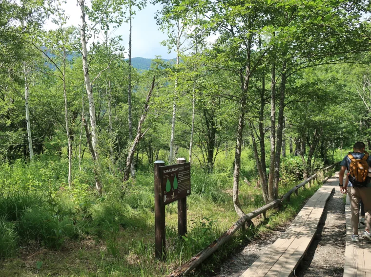Image: Kamikochi