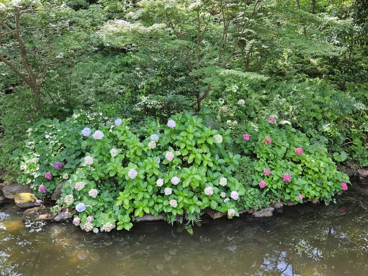 Image: 小倉城庭園