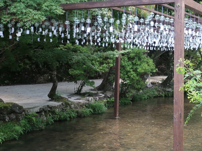 Image: 賀茂別雷神社