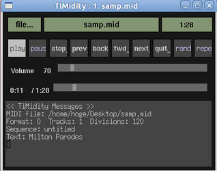 timidity XAWインターフェース